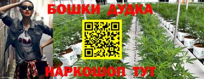 МДПВ Будённовск