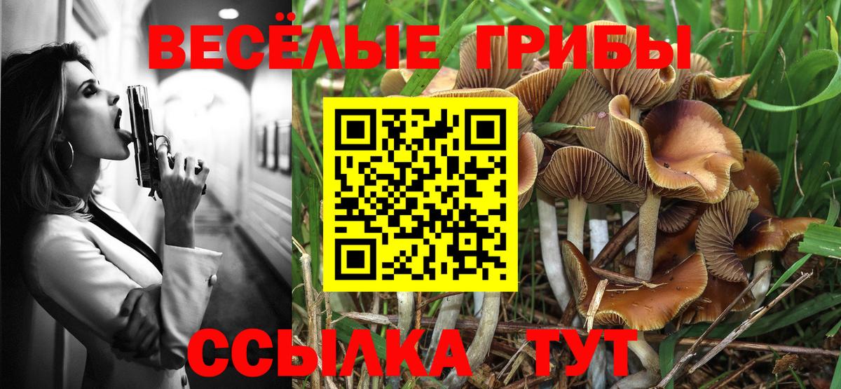 Галлюциногенные грибы Psilocybe  Галлюциногенные грибы GOLDEN TEACHER  Вход с VPN  Канск 