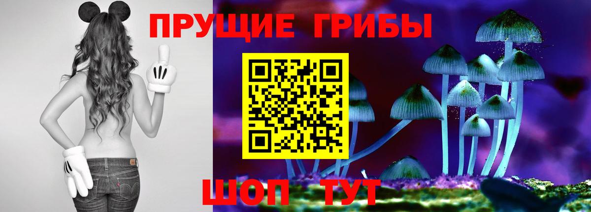 Галлюциногенные грибы Psilocybine cubensis Канск