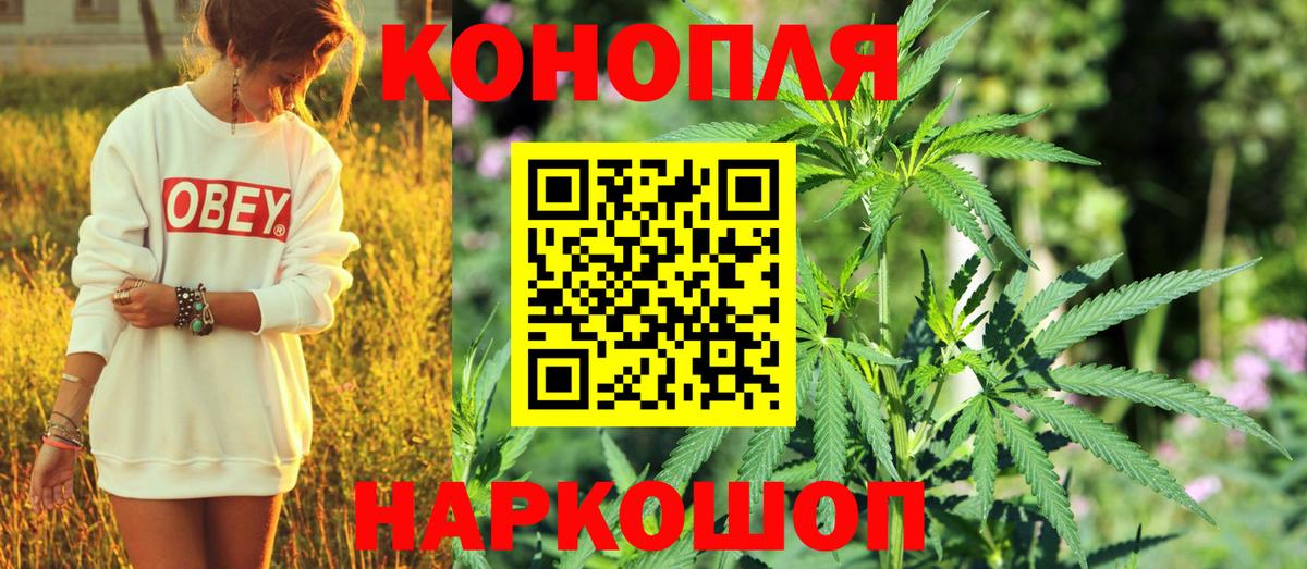 Канск  Бошки Шишки сатива  Бошки Шишки индика  Вход с VPN 